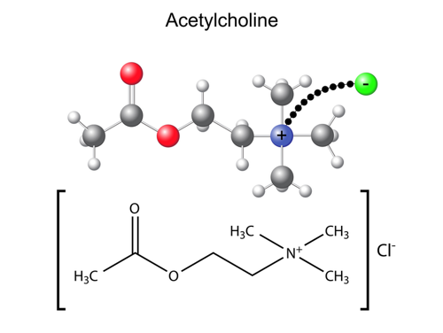 Antidementivum Acetylcholinesterasehemmer